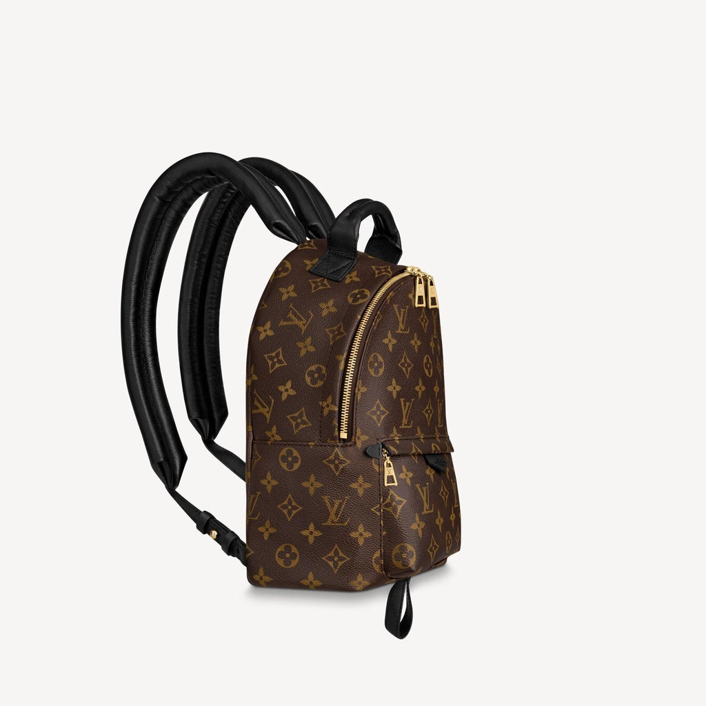 Louis Vuitton Palm Springs PM Handbag