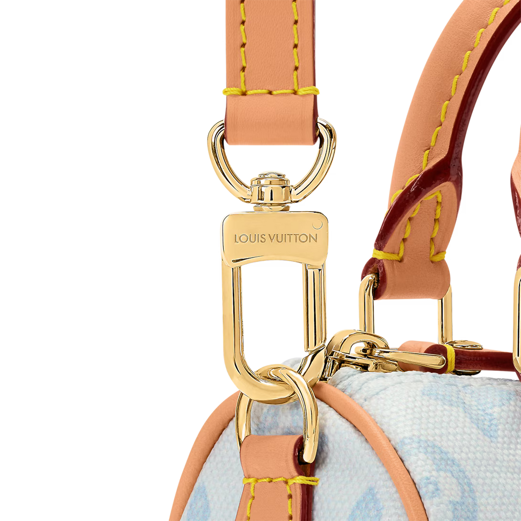 LV Nano Speedy (New) Handbag